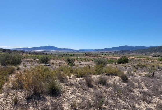 Grundstück / Land - Resale - Monóvar - Monóvar