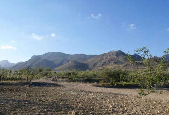 Grundstück / Land - Resale - Murcia -
                Murcia