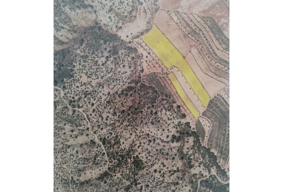 Grundstück / Land - Resale - Pinoso - Pinoso