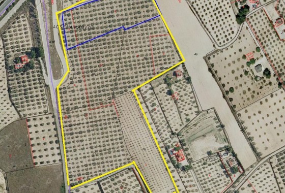 Grundstück / Land - Resale - SAX - SAX