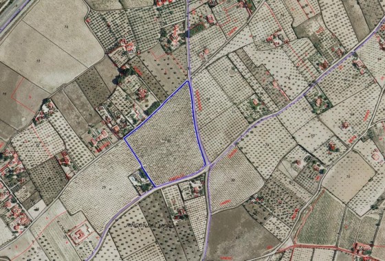 Grundstück / Land - Resale - SAX - SAX