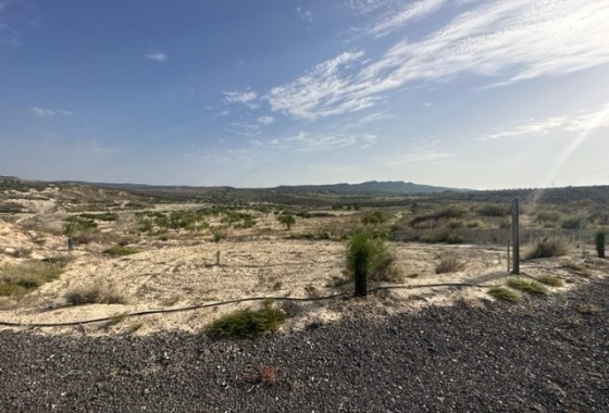 Grundstück / Land - Resale - Torremendo - Torremendo