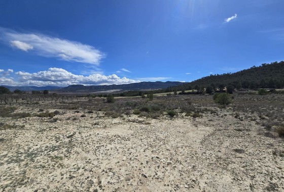 Grundstück / Land - Wiederverkauf - Salinas -
                Salinas