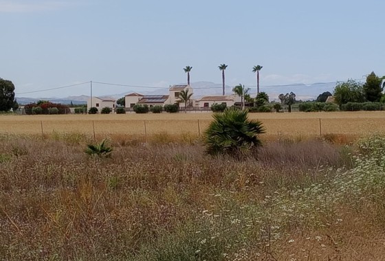 Grundstück / Land - Wiederverkauf - San Fulgencio - San Fulgencio