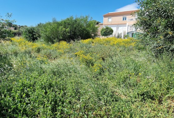 Grundstück / Land - Wiederverkauf - Torrevieja -
                Torrevieja