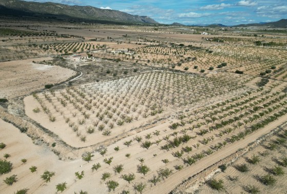 Grundstück - Resale - Pinoso - Pinoso