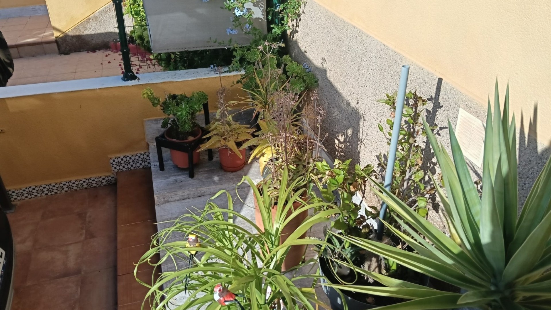 Herverkoop - Apartement Flat -
Los Montesinos - La herrada