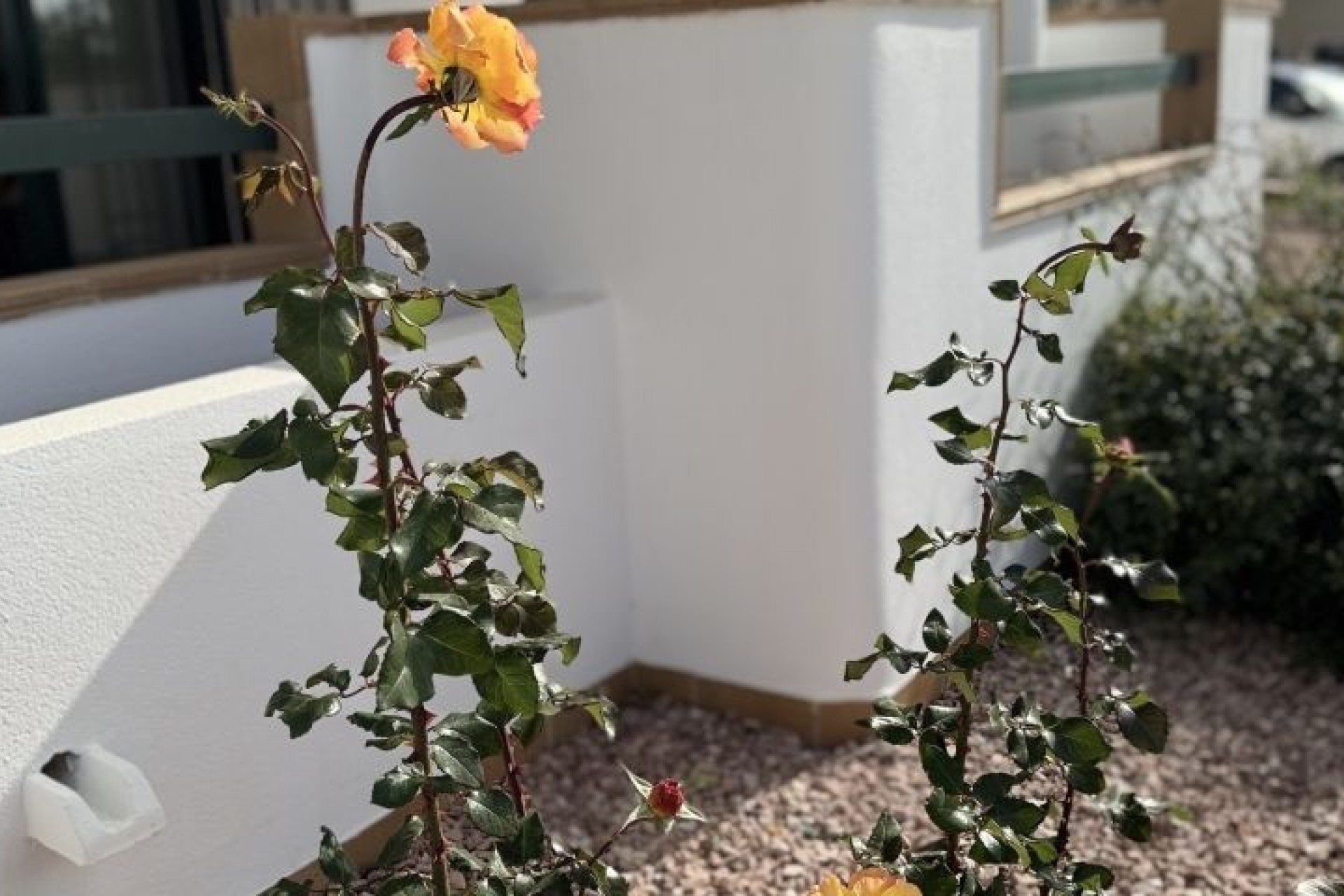 Herverkoop - Apartement Flat -
Orihuela Costa