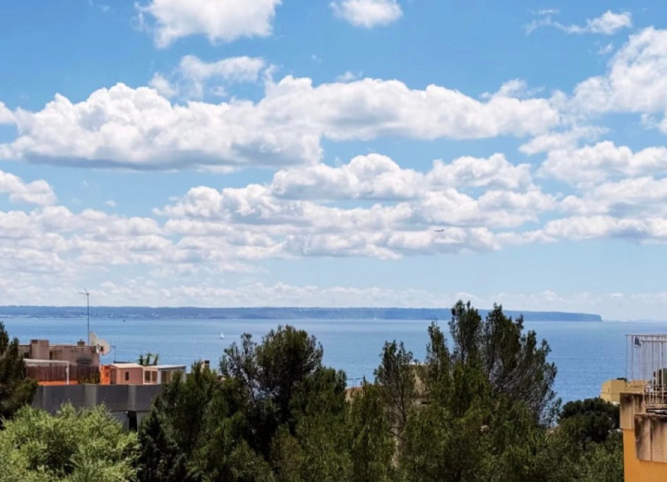 Herverkoop - Apartement Flat -
Palma - Sant Agustí