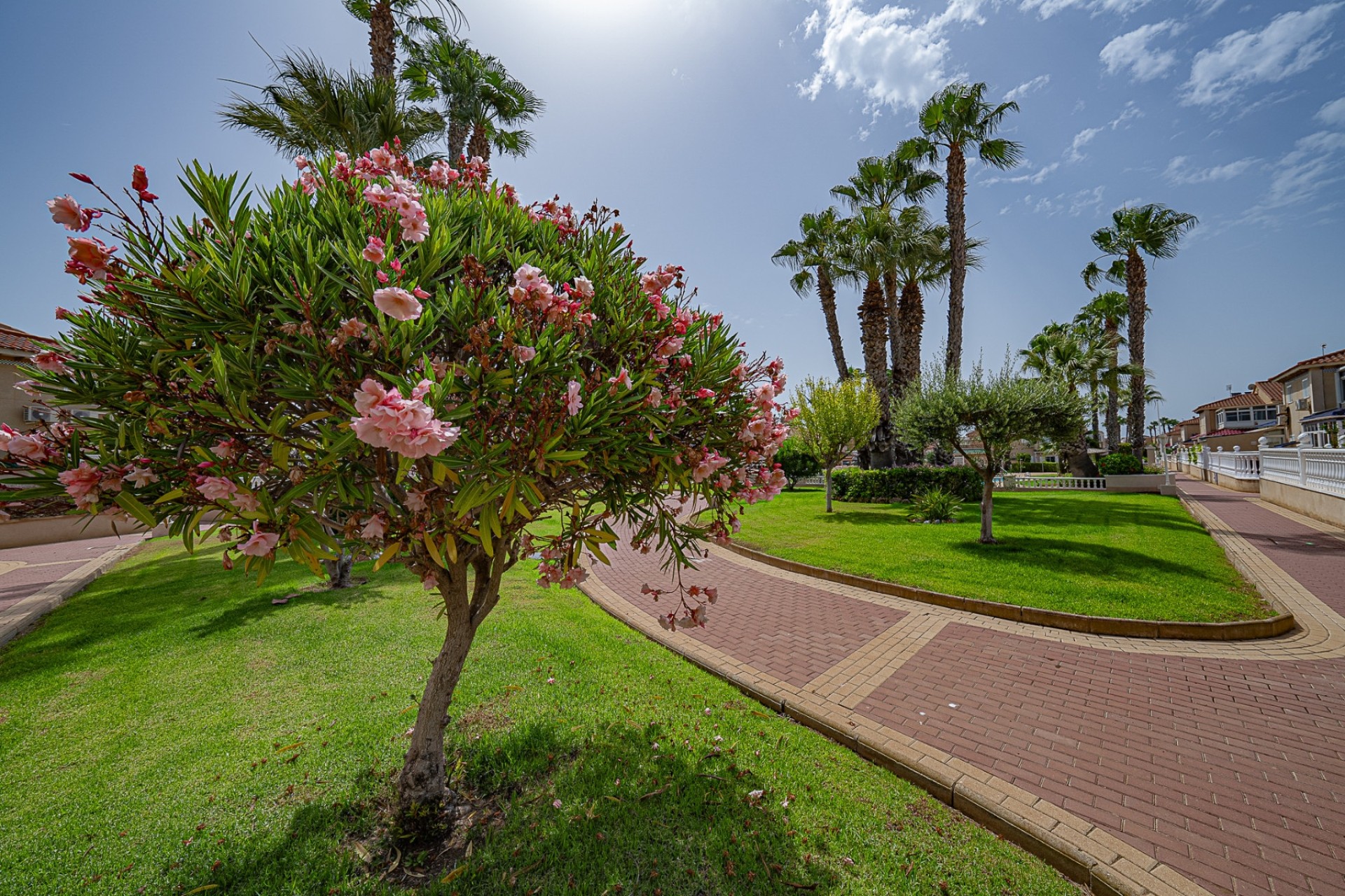 Herverkoop - Apartement Flat -
Playa Flamenca - Zenia Mar