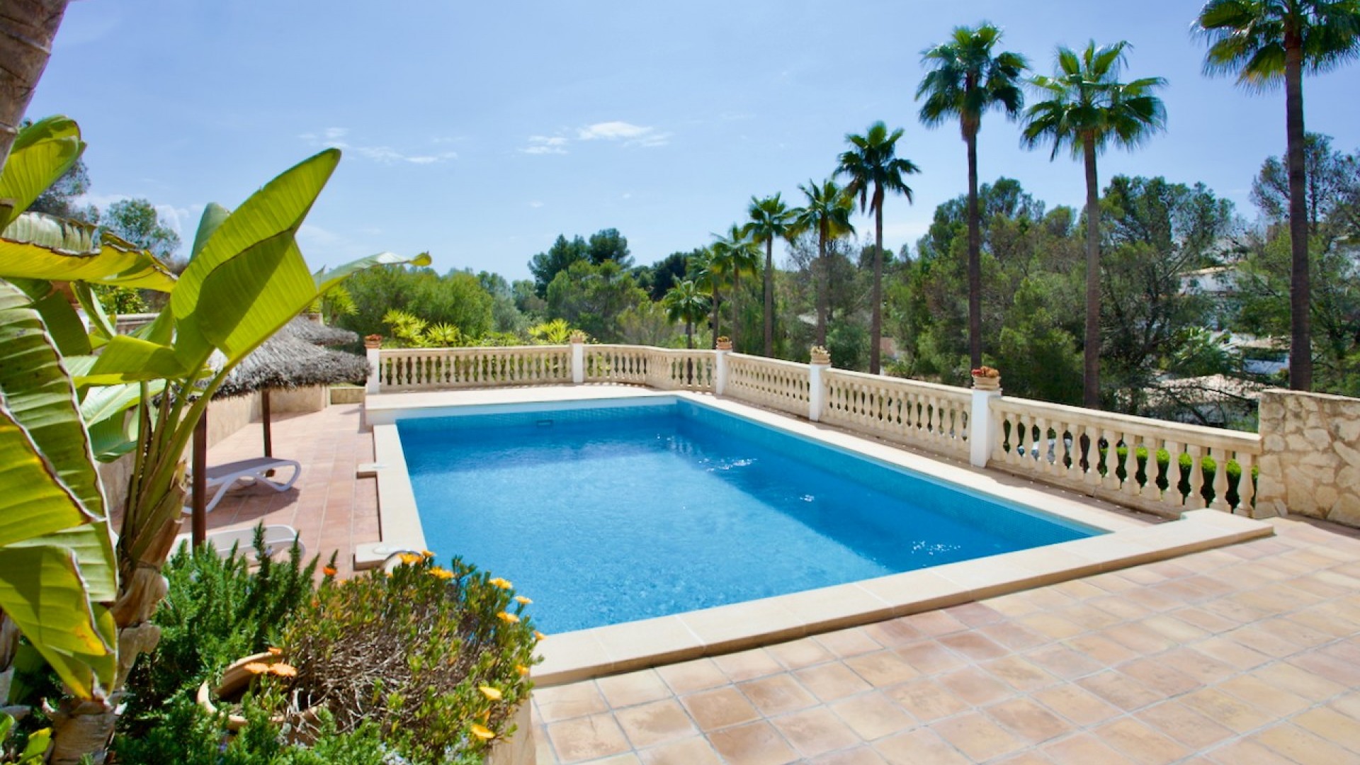 Herverkoop - Apartement Flat -
Portals Nous - Calvià