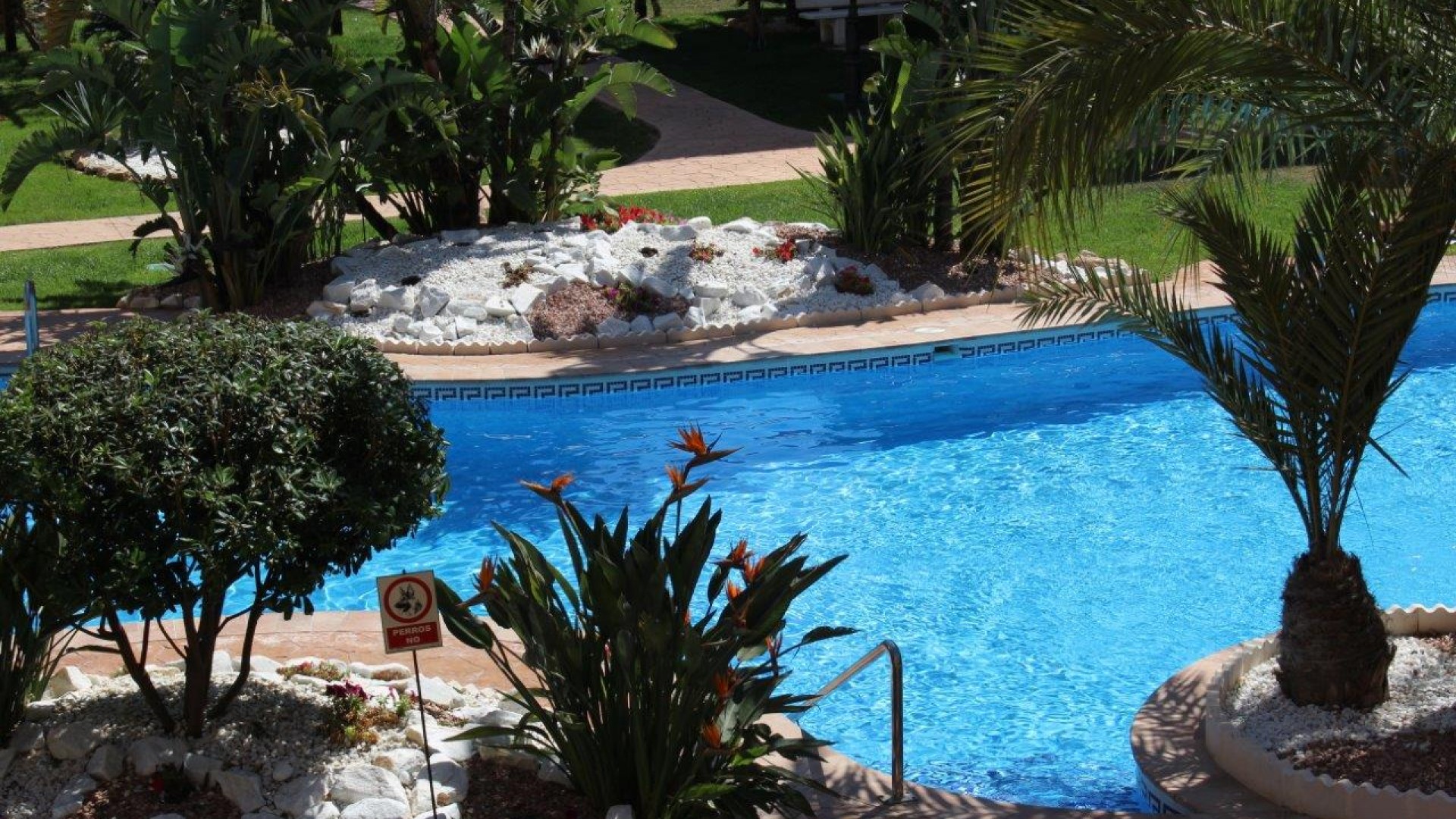 Herverkoop - Apartement Flat -
Punta Prima - La Entrada