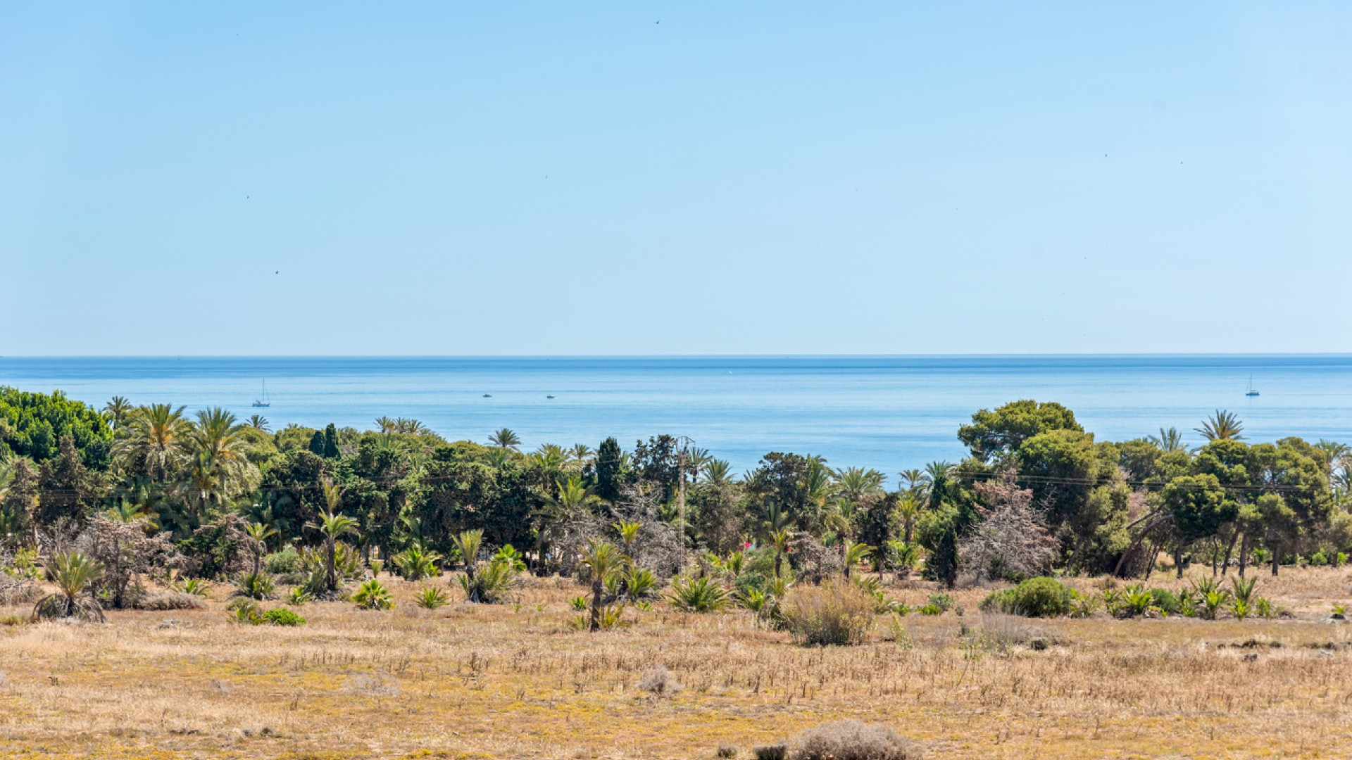 Herverkoop - Apartement Flat -
Punta Prima