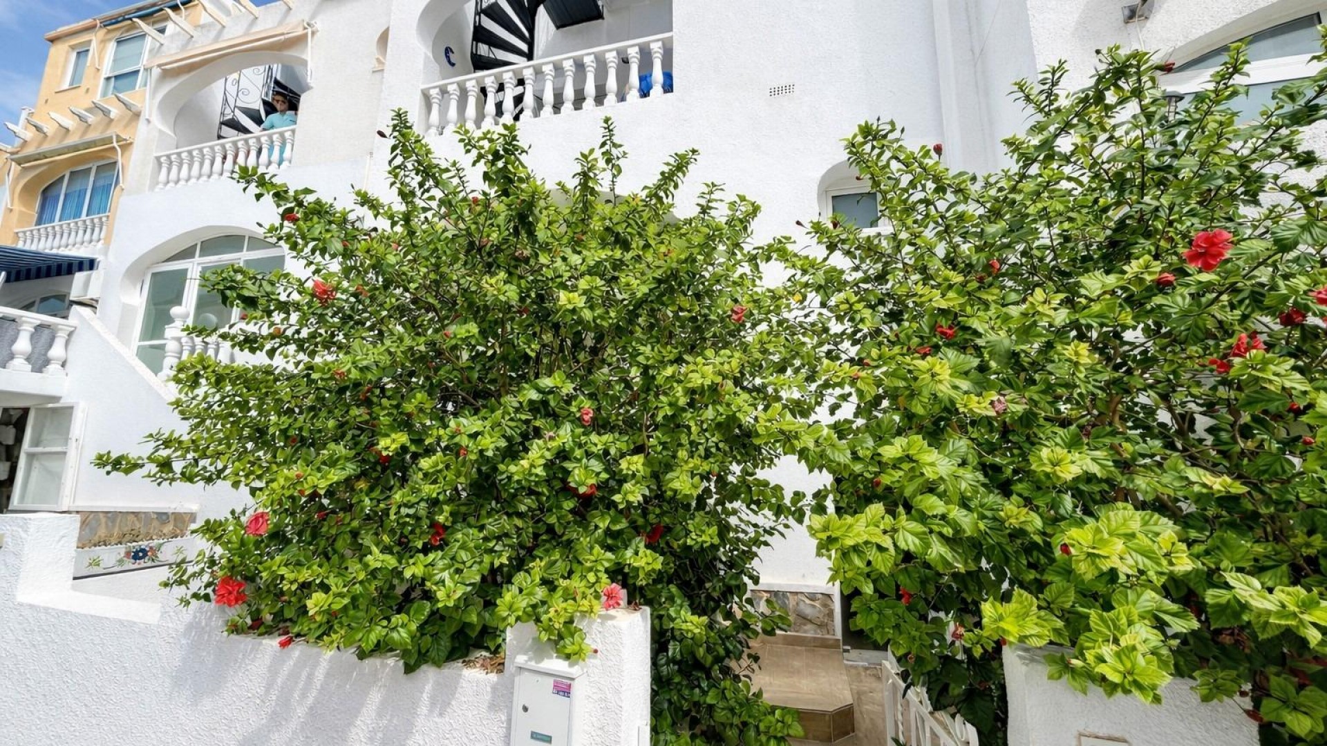 Herverkoop - Apartement Flat -
San Miguel de Salinas - Las filipinas