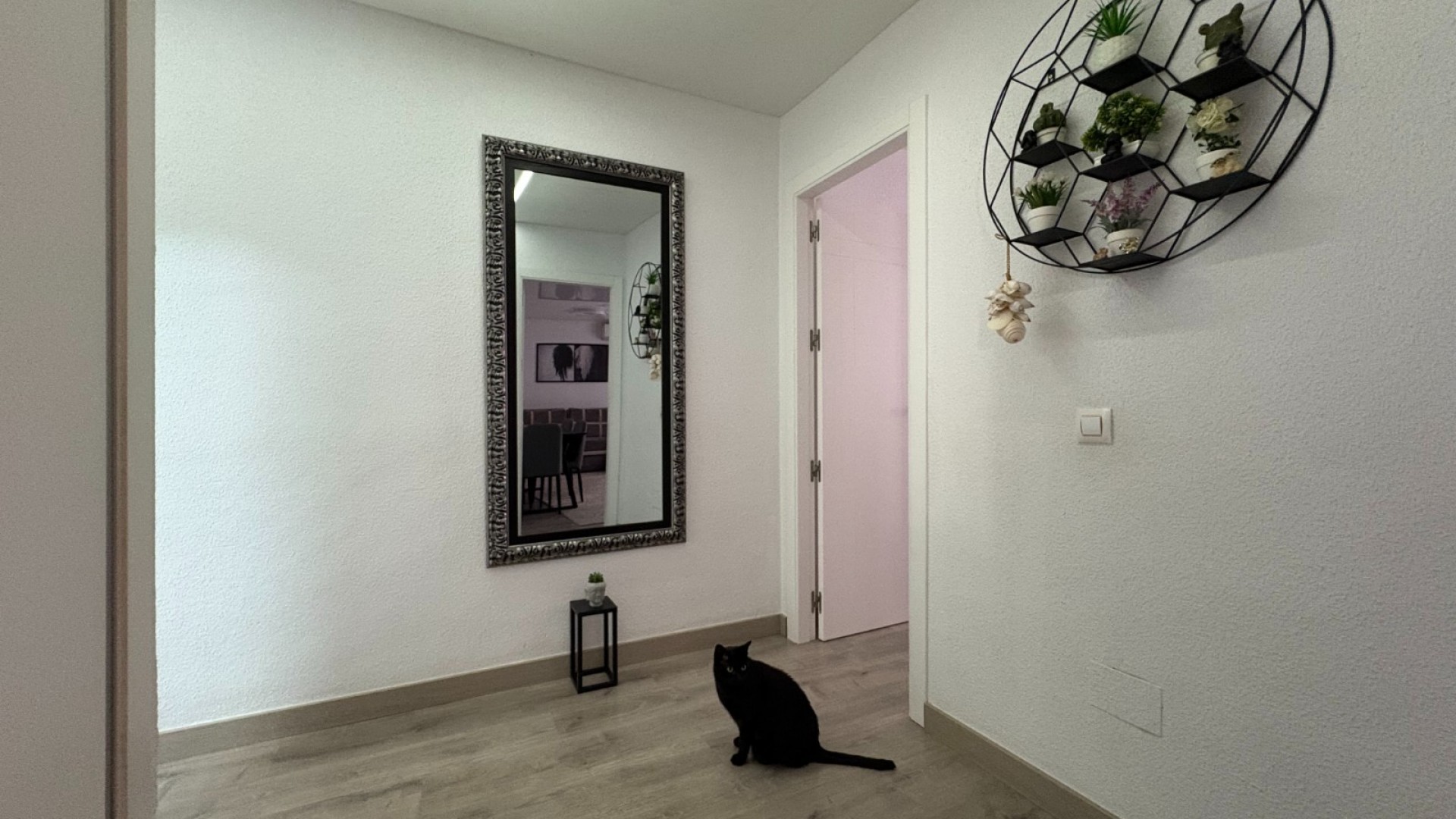 Herverkoop - Apartement Flat -
Torrevieja - Centro