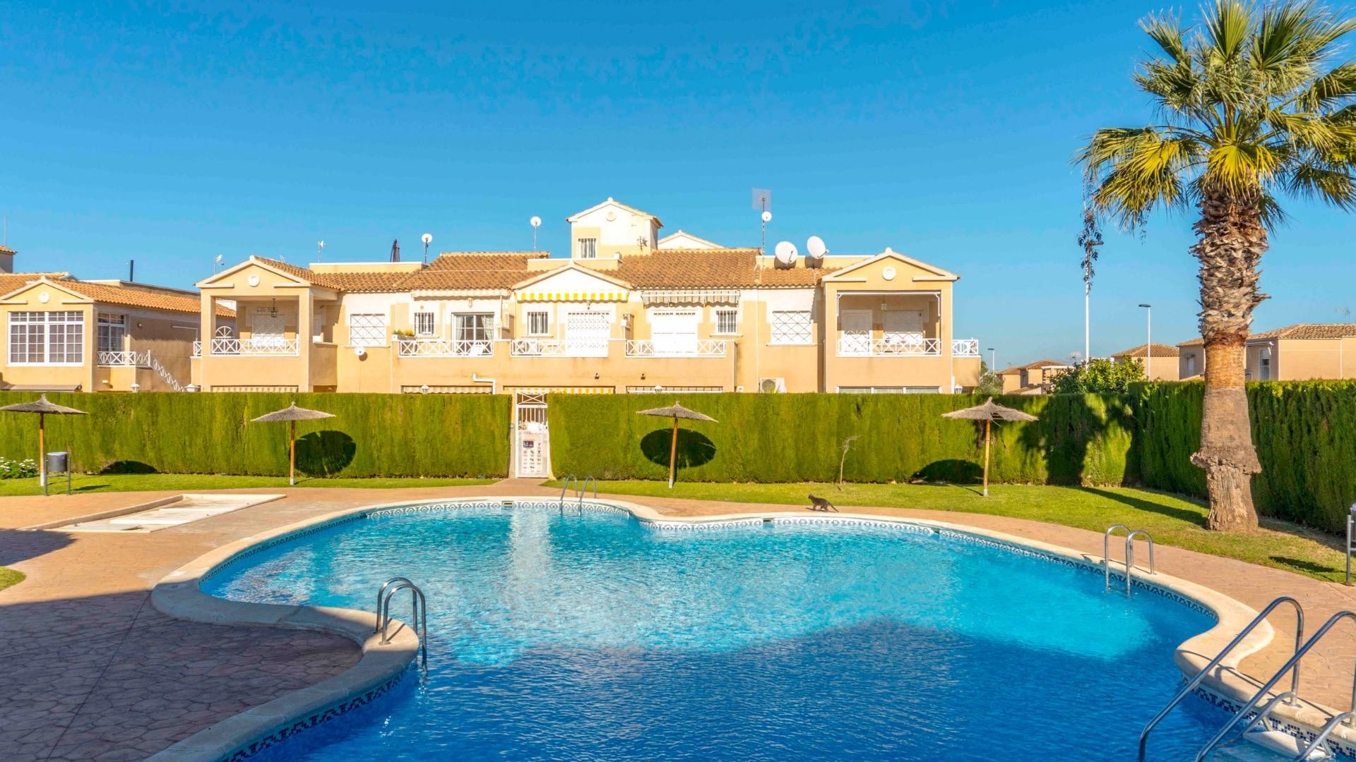 Herverkoop - Apartement Flat -
Torrevieja - Nueva Torrevieja