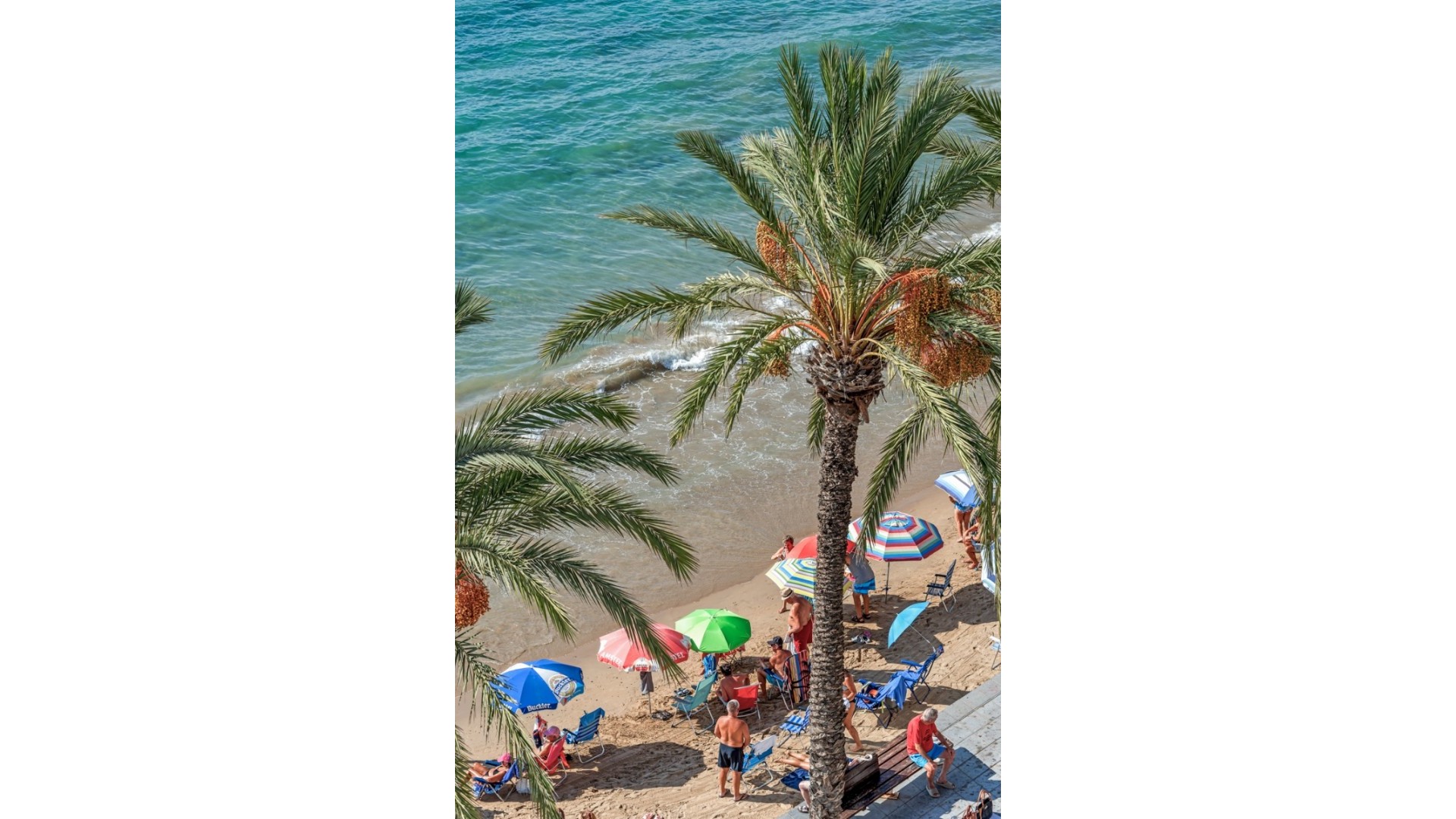 Herverkoop - Apartement Flat -
Torrevieja