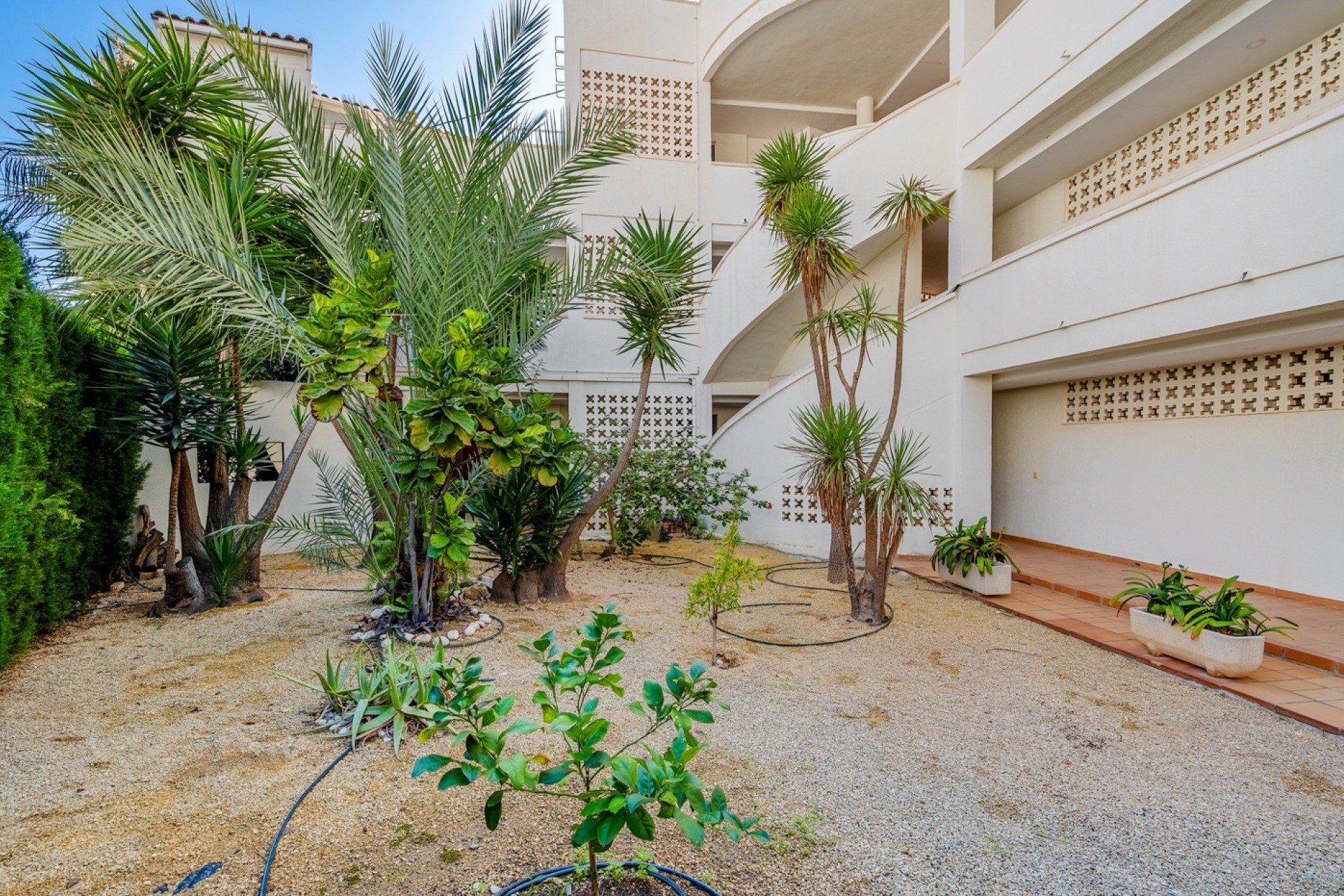 Herverkoop - Appartement / Flat -
Altea