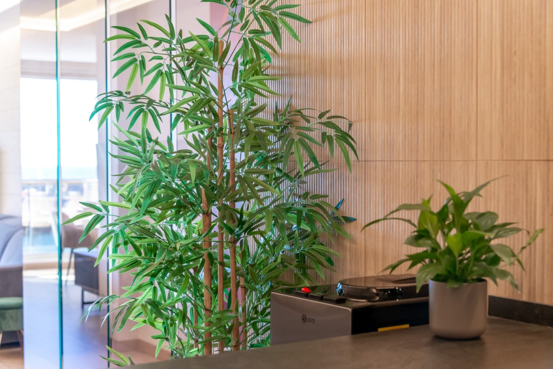 Herverkoop - Appartement / Flat -
Altea