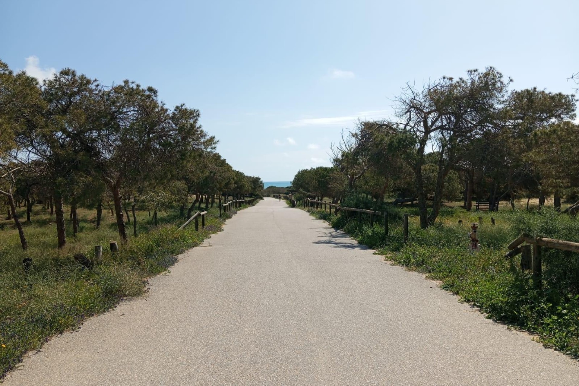 Herverkoop - Appartement / Flat -
Guardamar del Segura - Urbanizaciones