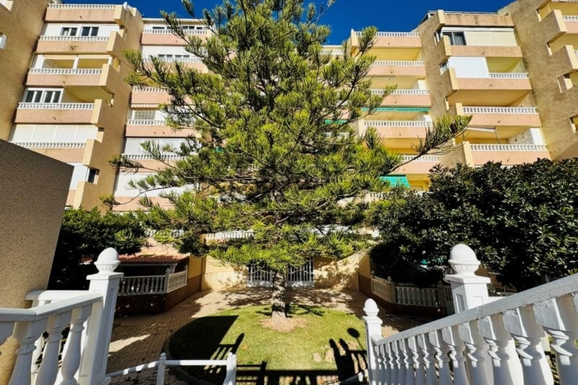 Herverkoop - Appartement / Flat -
La Mata - Costa Blanca