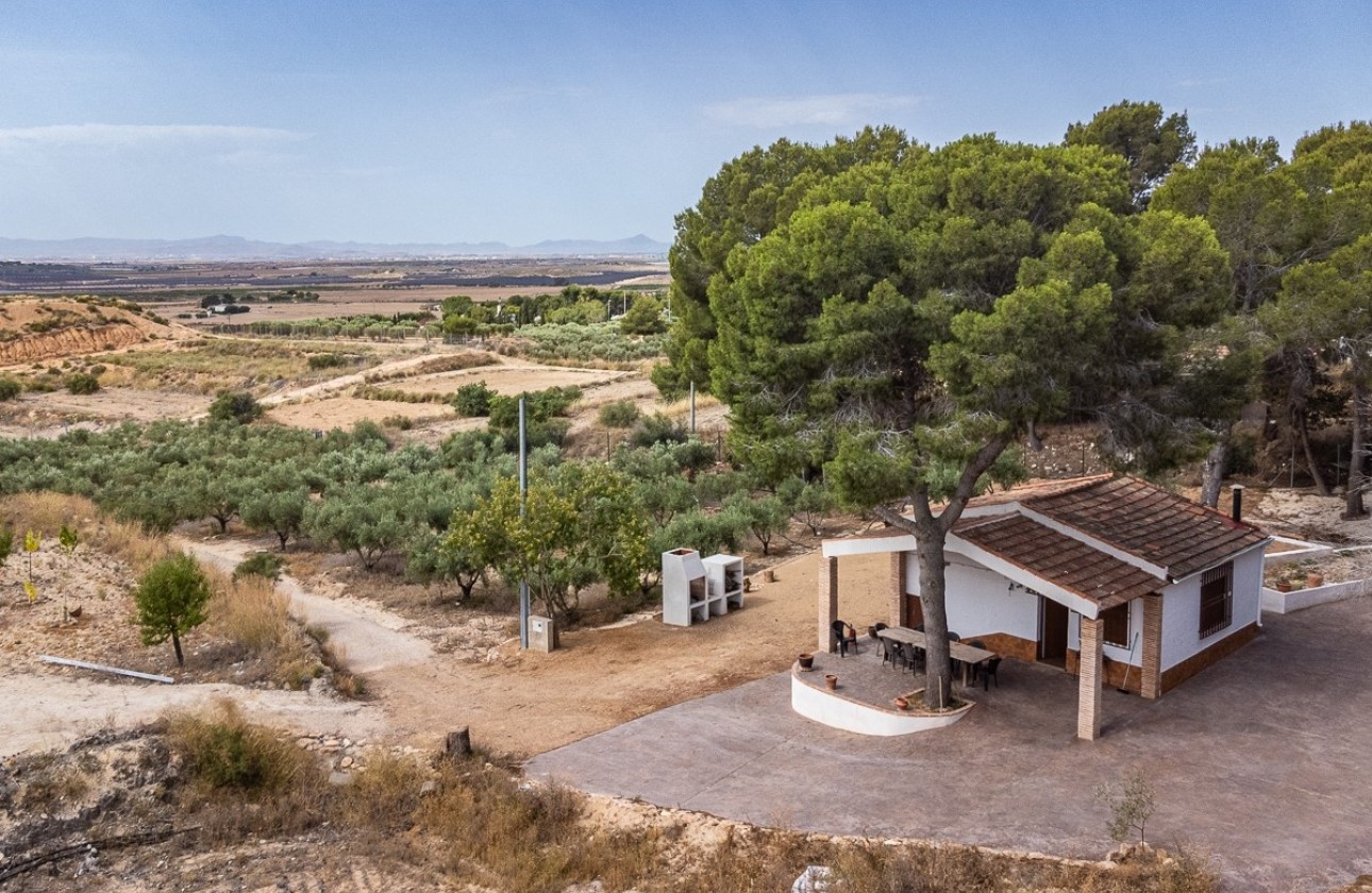 Herverkoop - Appartement / Flat -
La Tercia Golf Resort - La Tercia