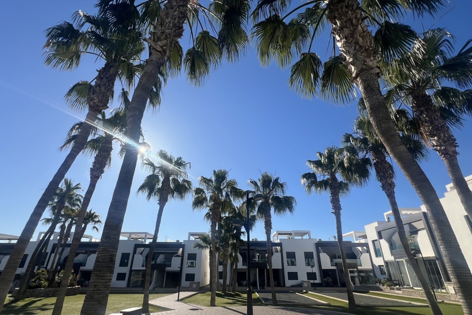 Herverkoop - Appartement / Flat -
La Zenia - Costa Blanca