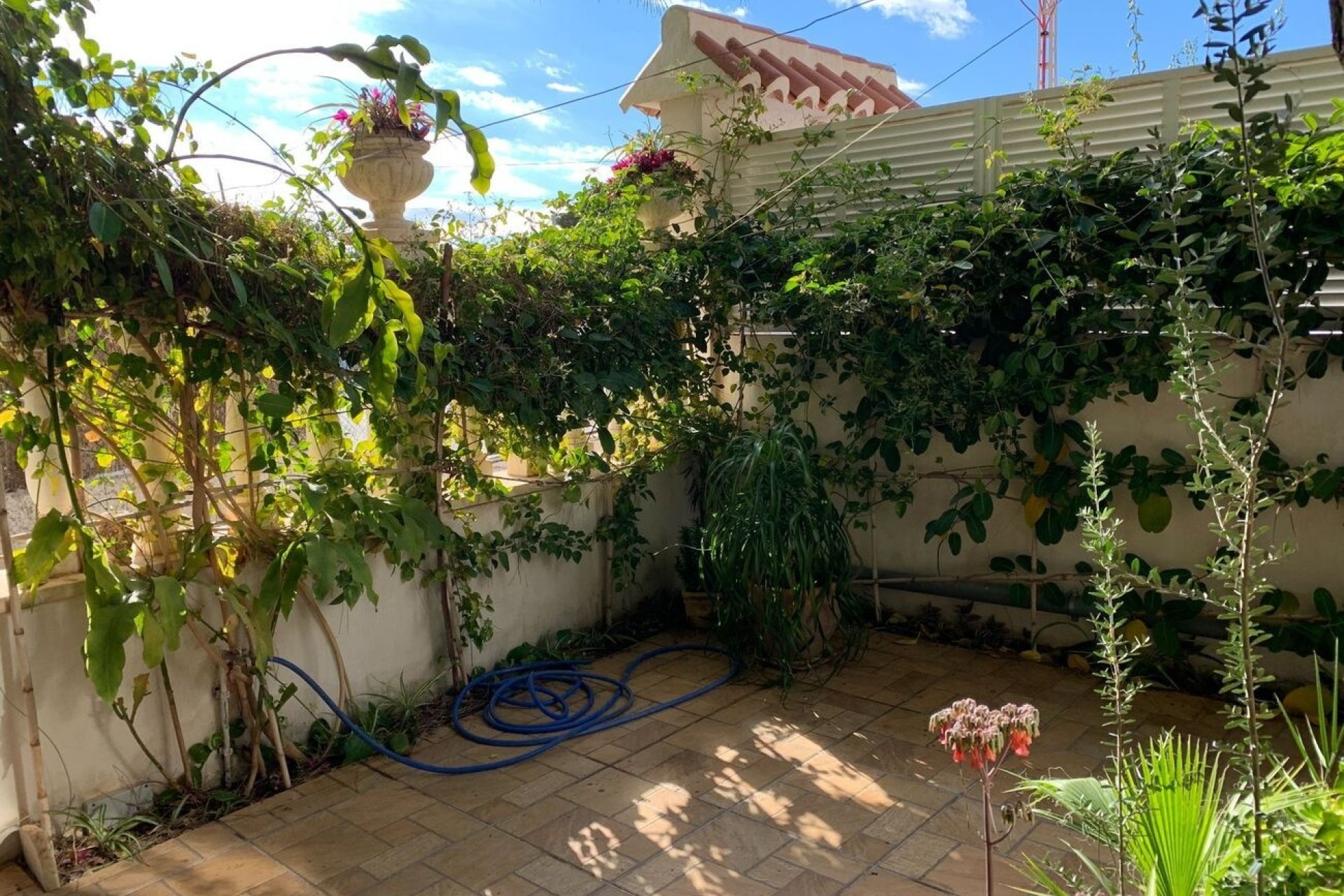 Herverkoop - Appartement / Flat -
La Zenia - Costa Blanca