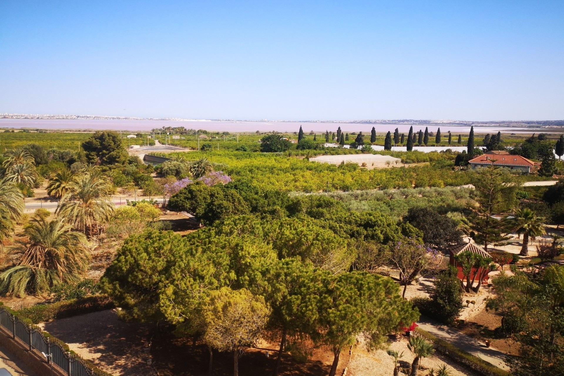 Herverkoop - Appartement / Flat -
Los Montesinos