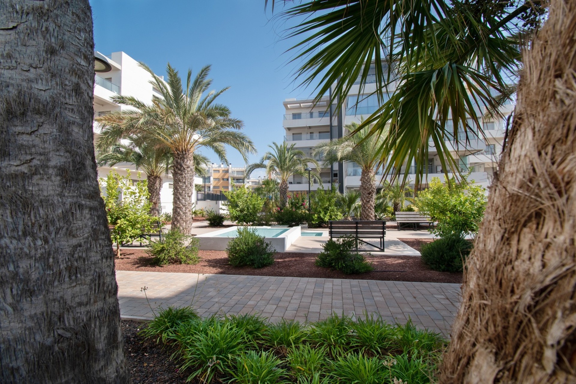 Herverkoop - Appartement / Flat -
Orihuela Costa - Los Dolses