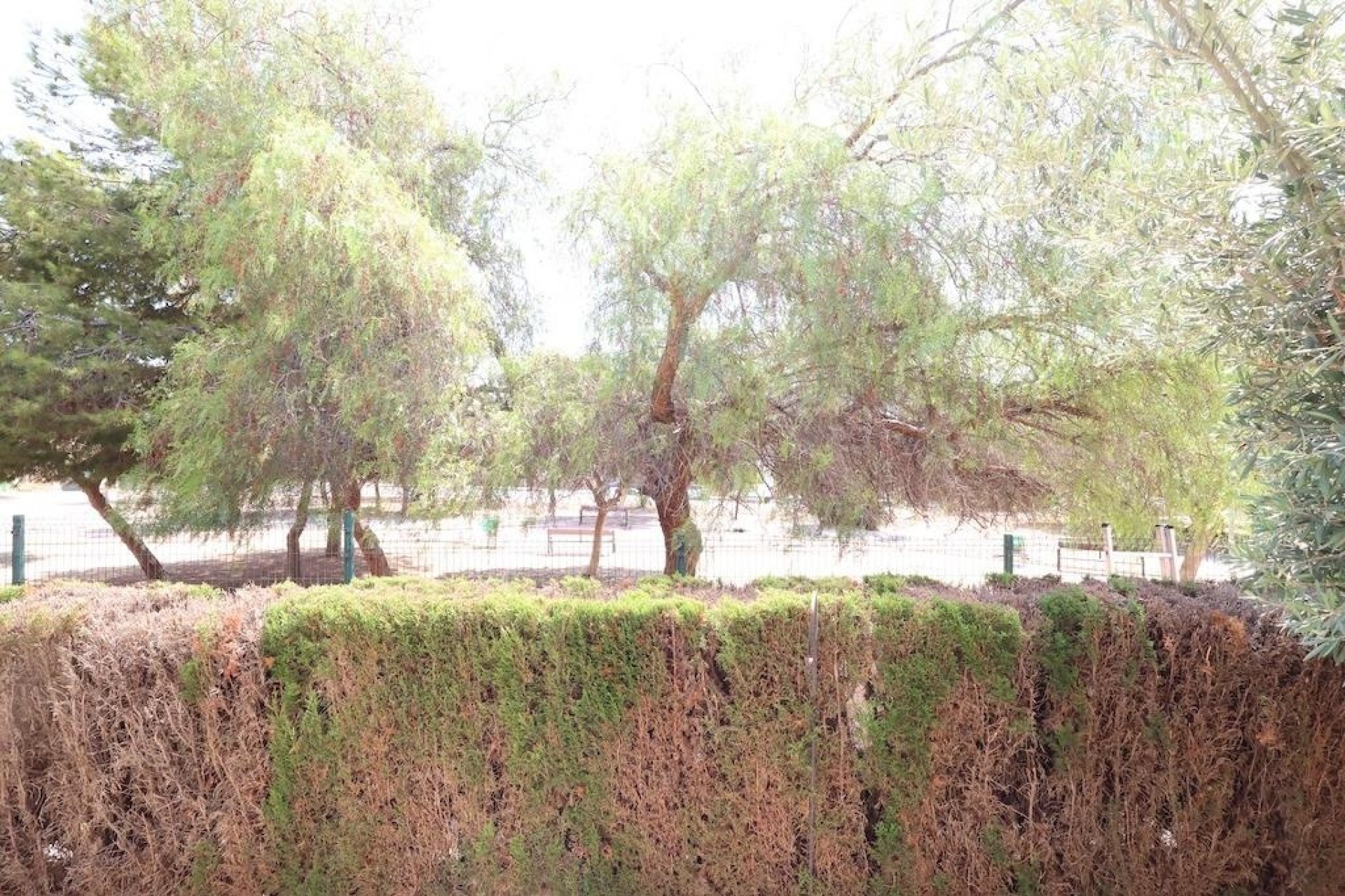 Herverkoop - Appartement / Flat -
Orihuela Costa - Punta Prima