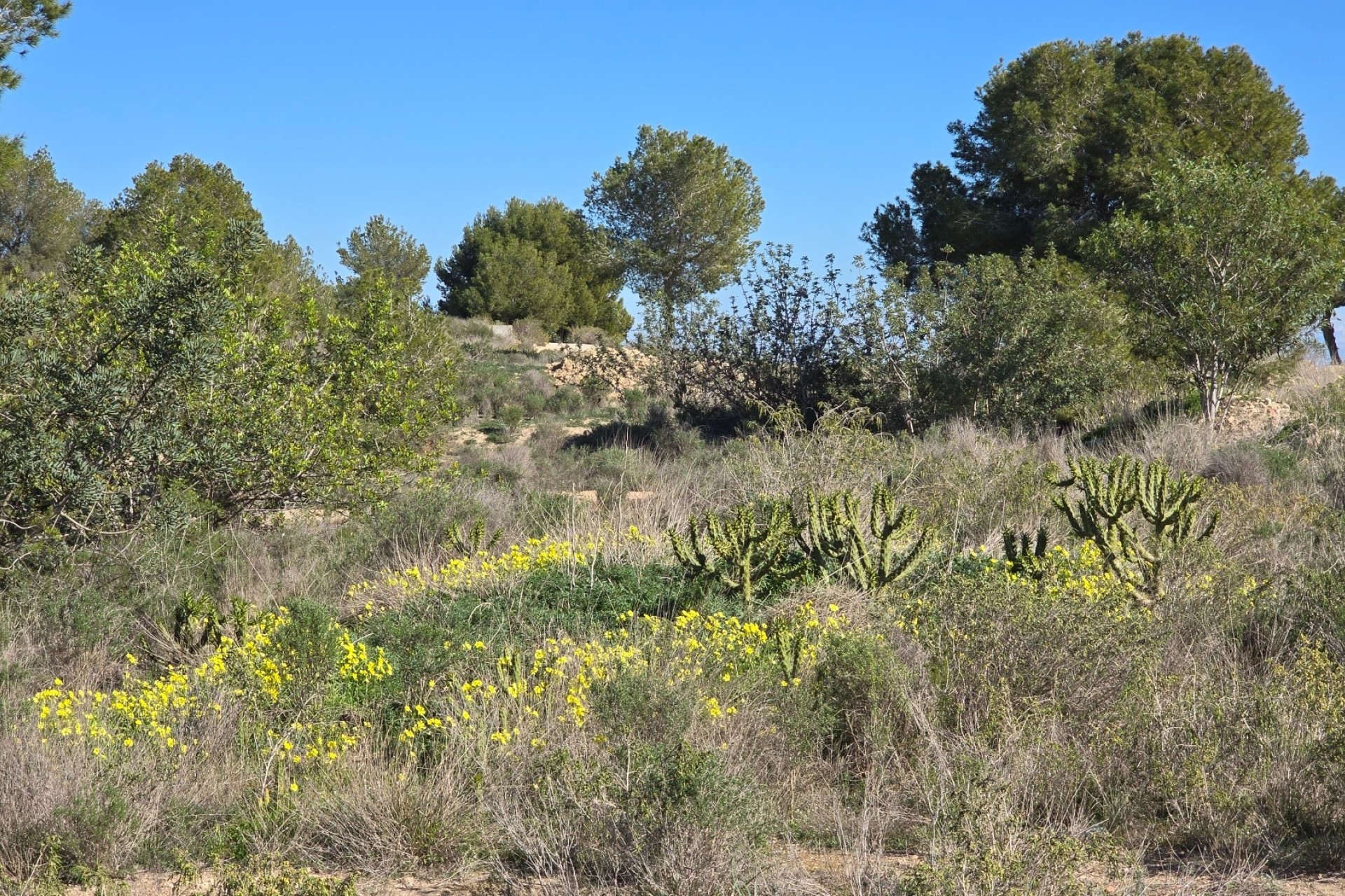 Herverkoop - Appartement / Flat -
Orihuela Costa