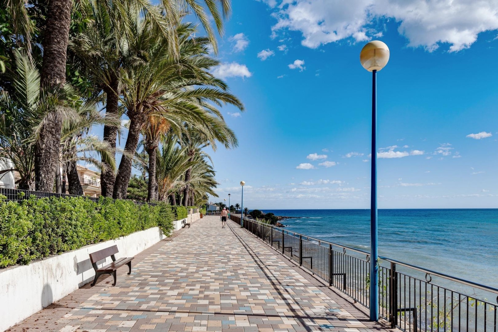 Herverkoop - Appartement / Flat -
Orihuela Costa