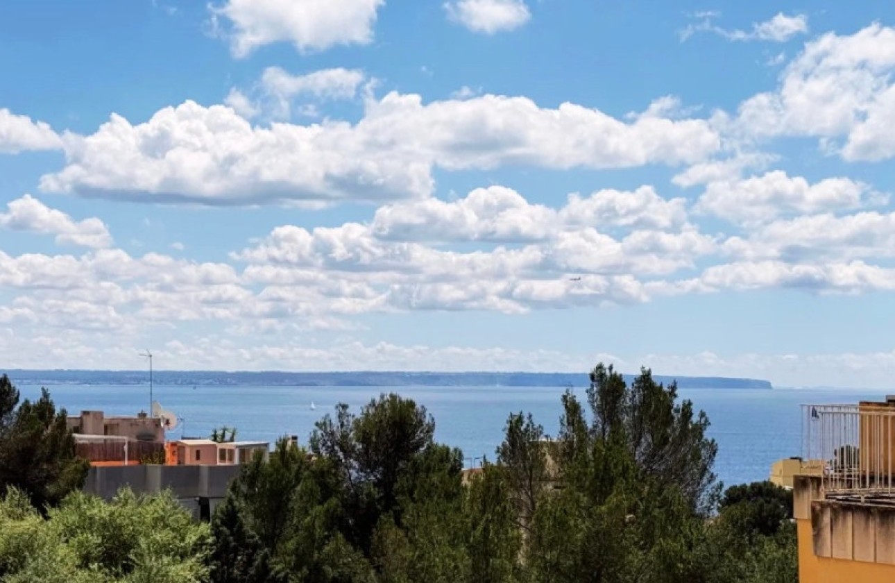 Herverkoop - Appartement / Flat -
Palma - Sant Agustí