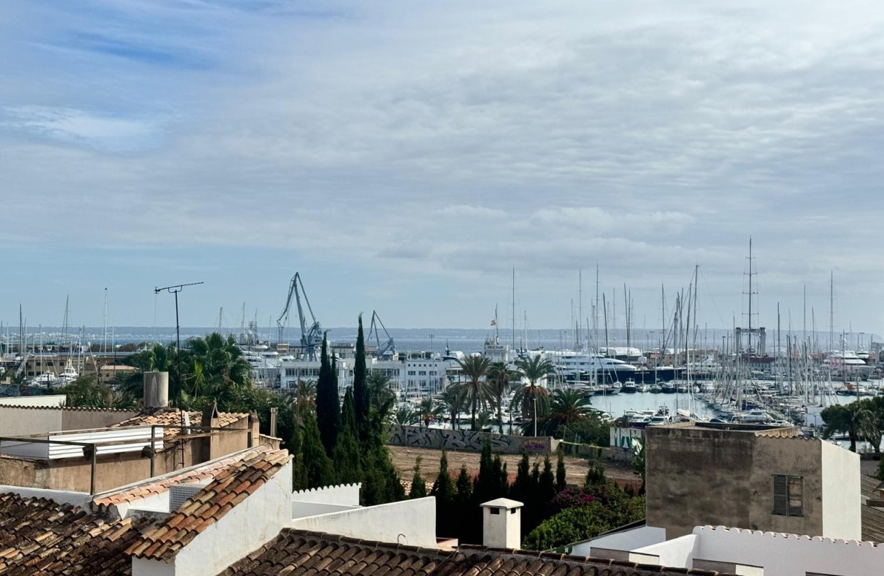 Herverkoop - Appartement / Flat -
Palma