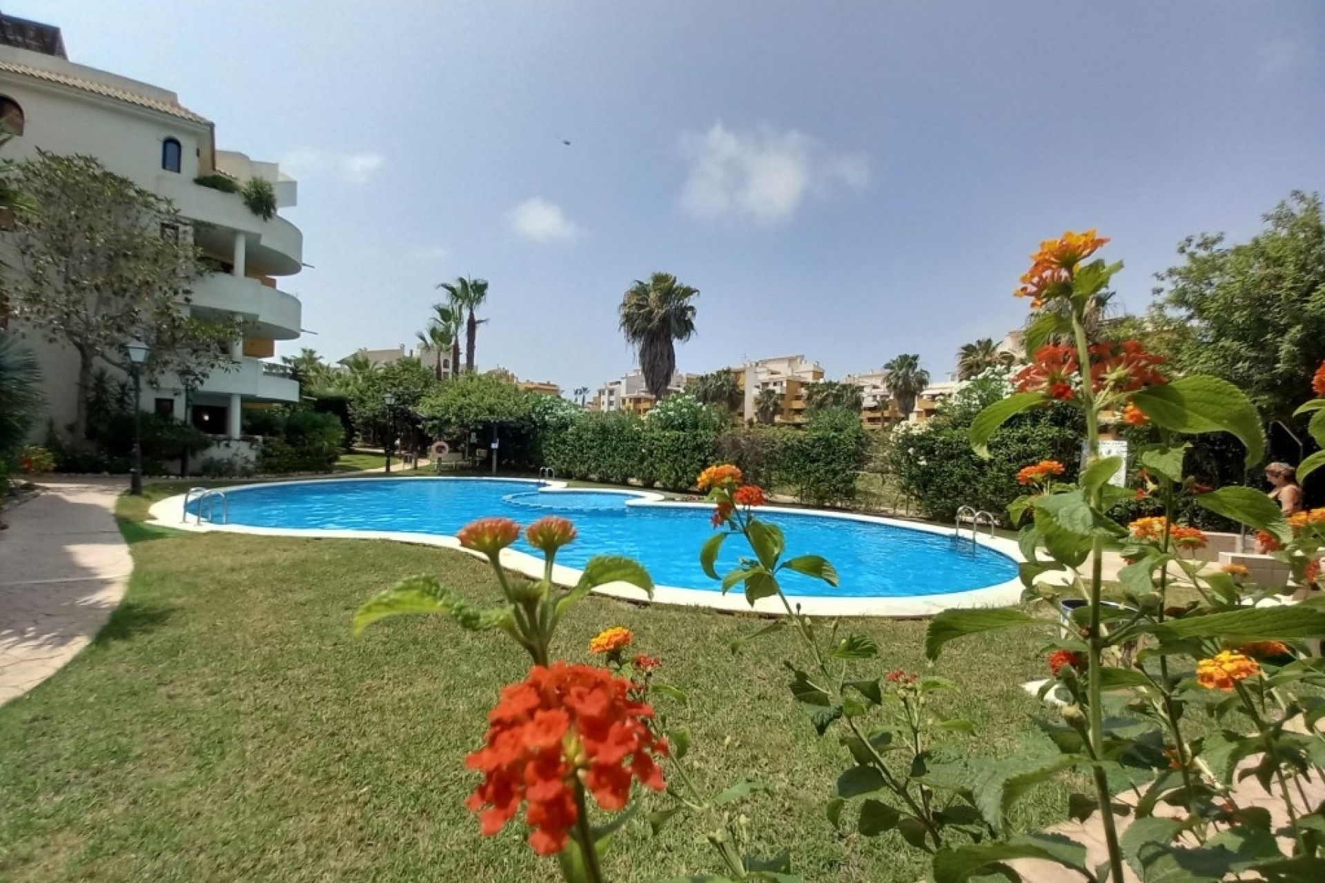 Herverkoop - Appartement / Flat -
Punta Prima