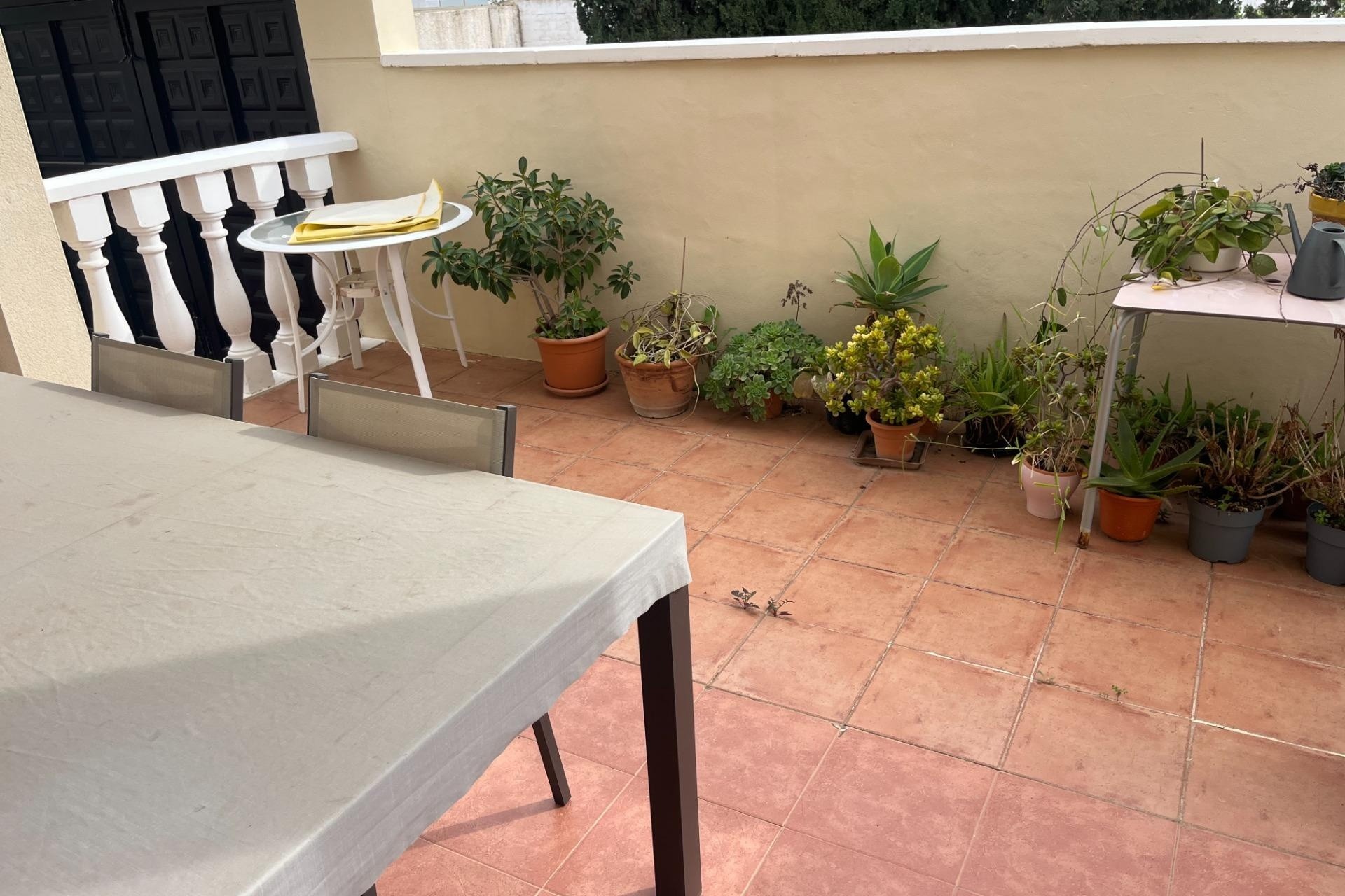 Herverkoop - Appartement / Flat -
San Miguel de Salinas - Las filipinas