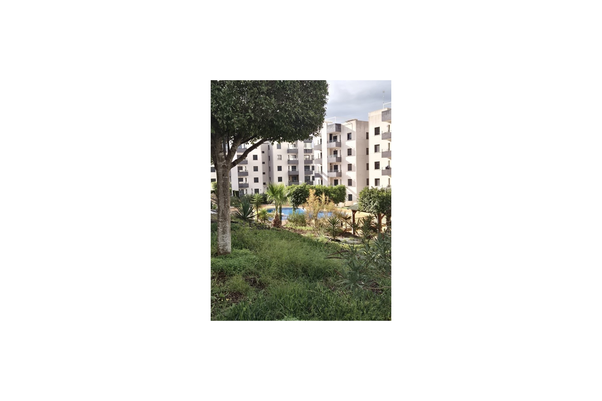 Herverkoop - Appartement / Flat -
San Miguel de Salinas