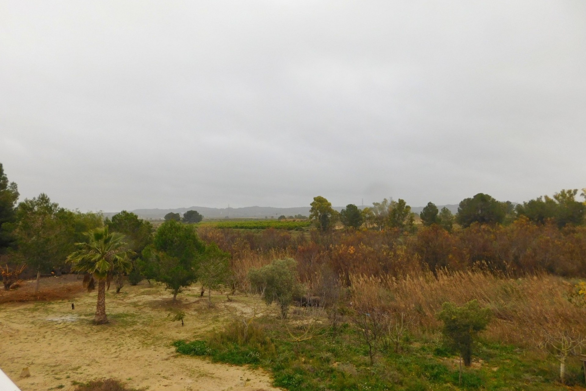 Herverkoop - Appartement / Flat -
Torremendo