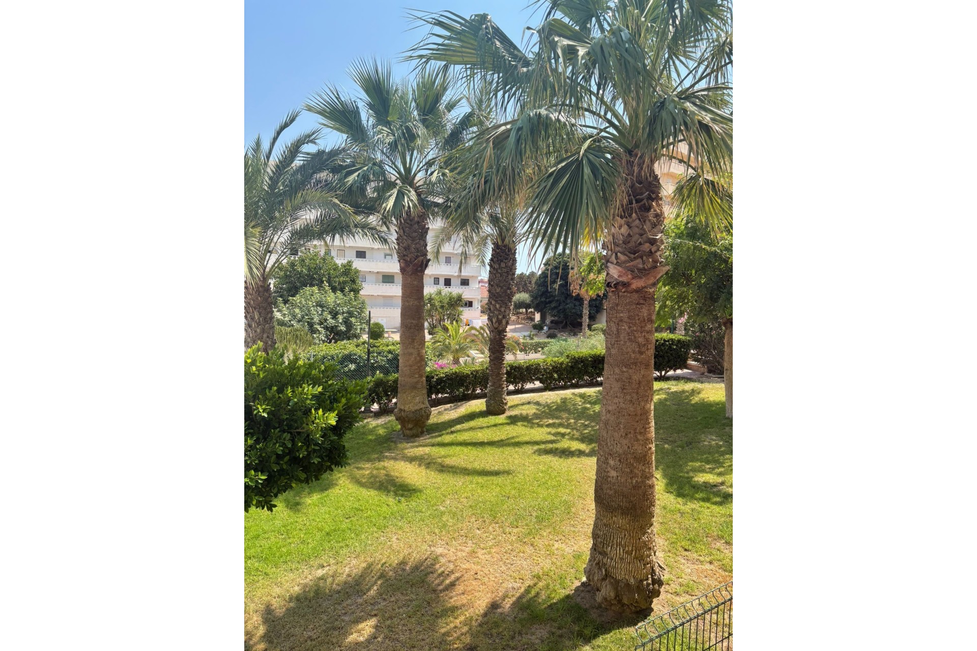 Herverkoop - Appartement / Flat -
Torrevieja - 0