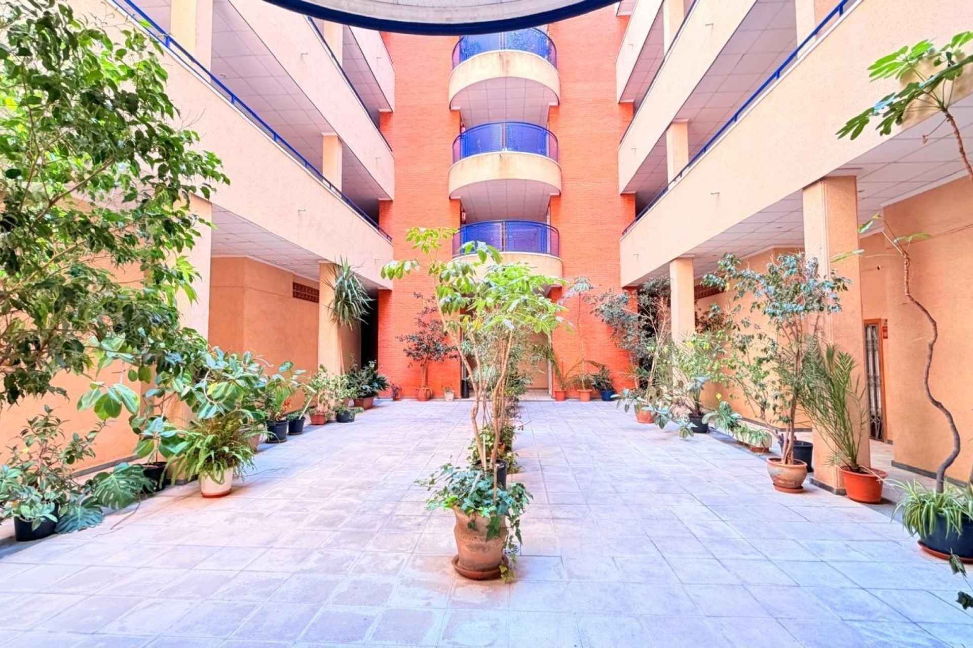 Herverkoop - Appartement / Flat -
Torrevieja - Acequion