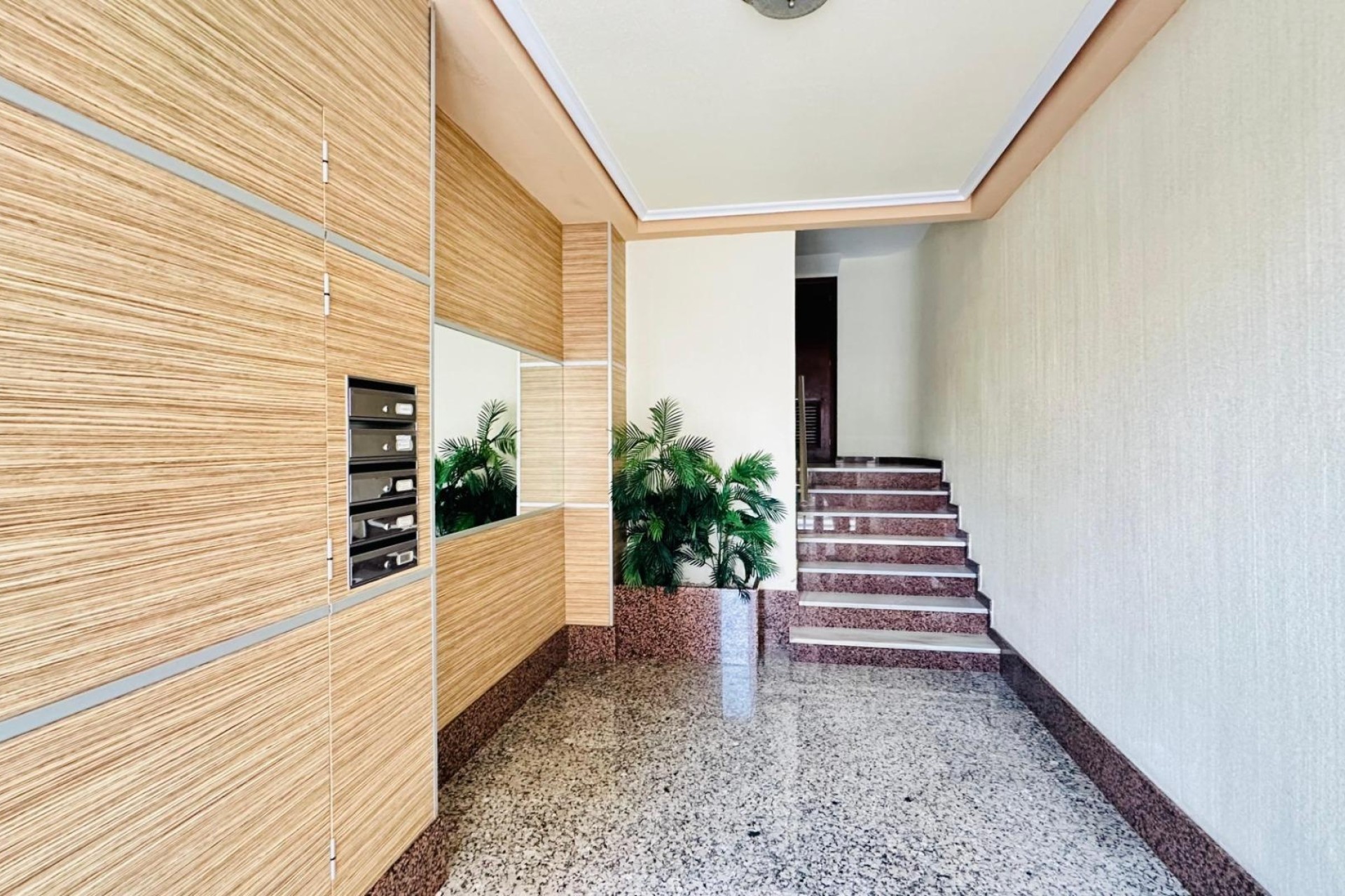 Herverkoop - Appartement / Flat -
Torrevieja - Center