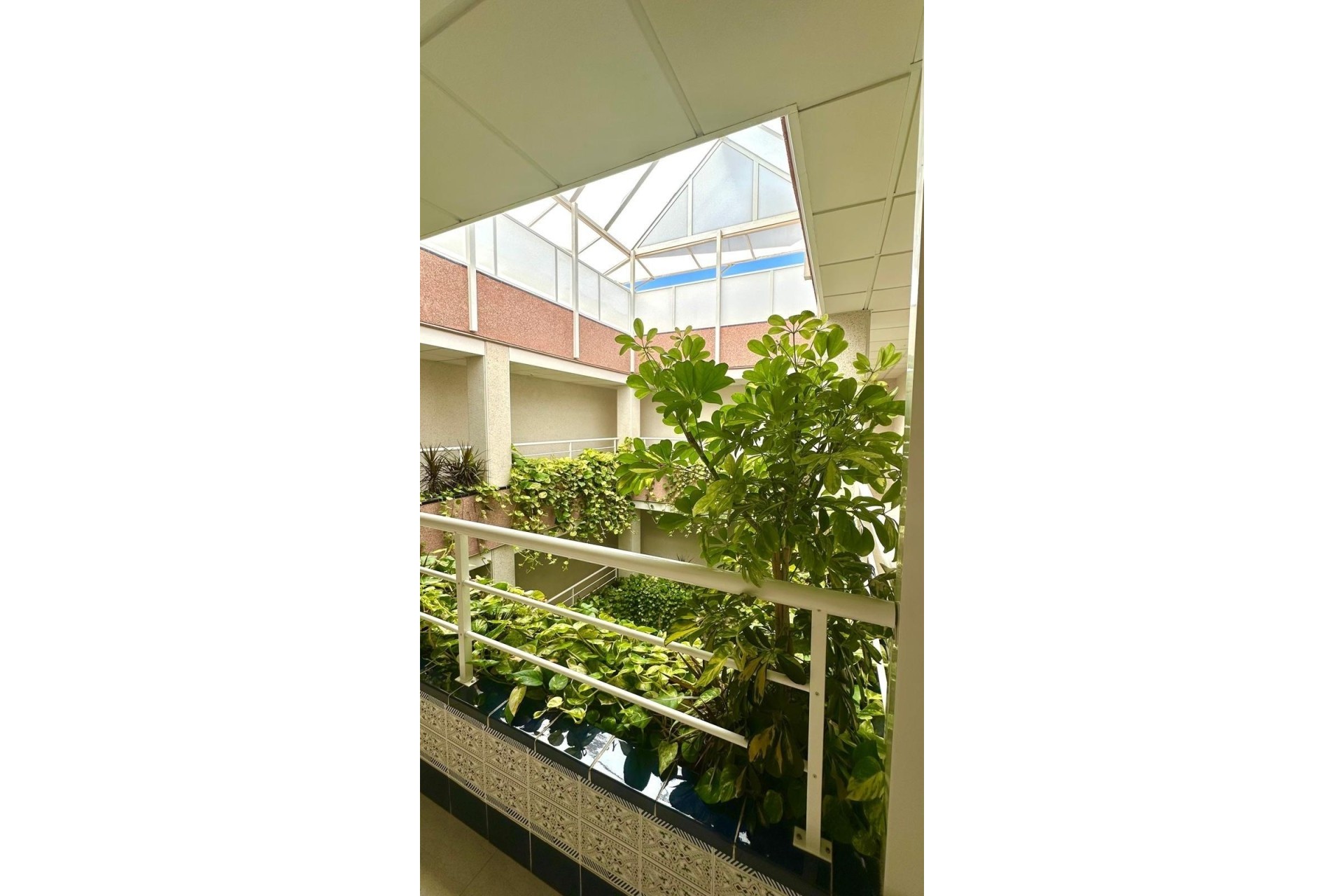 Herverkoop - Appartement / Flat -
Torrevieja - Centro