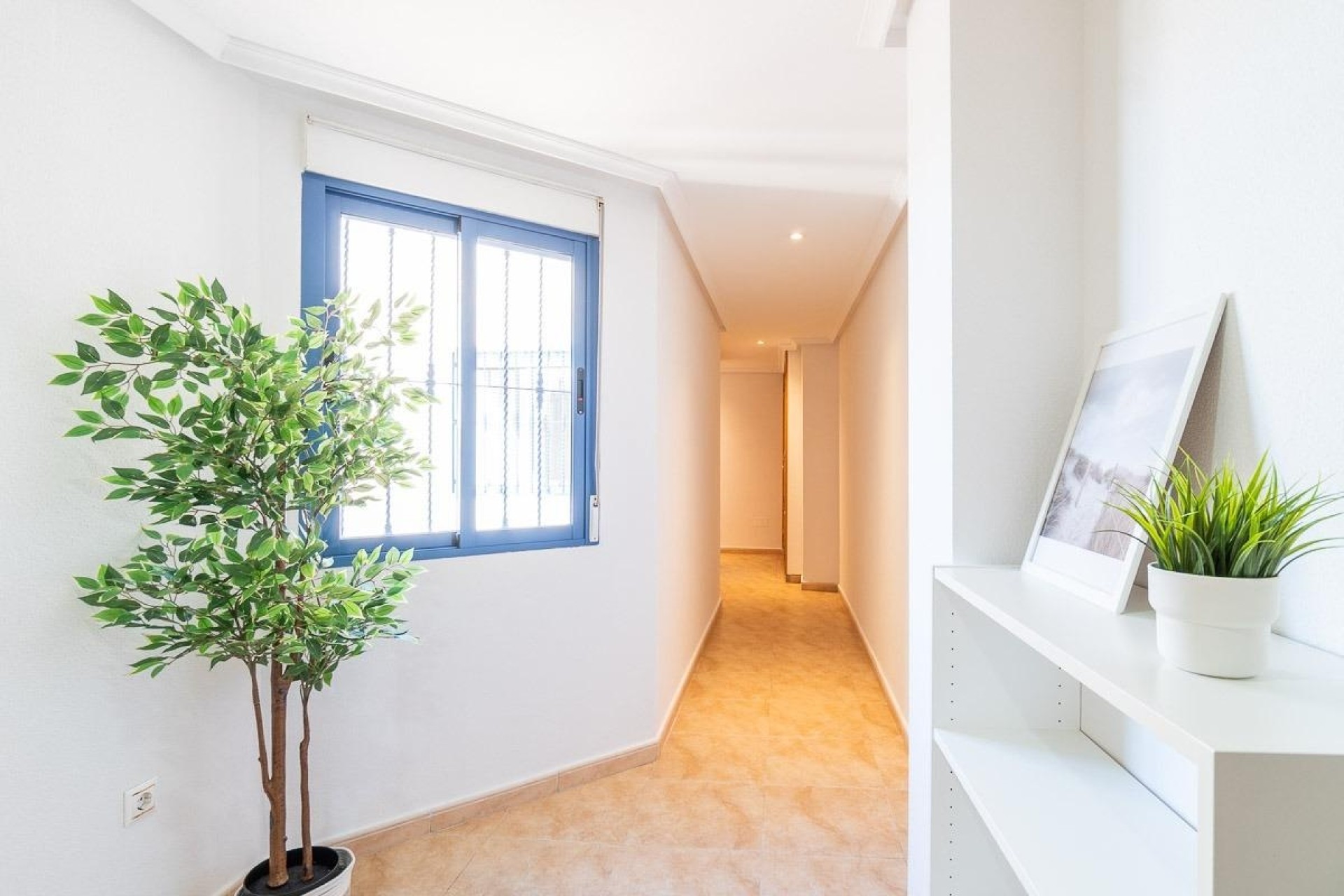 Herverkoop - Appartement / Flat -
Torrevieja - Centro