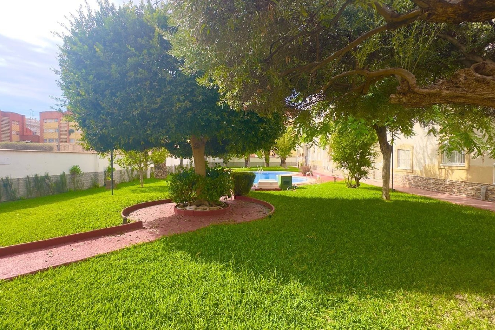 Herverkoop - Appartement / Flat -
Torrevieja - Estacion de autobuses