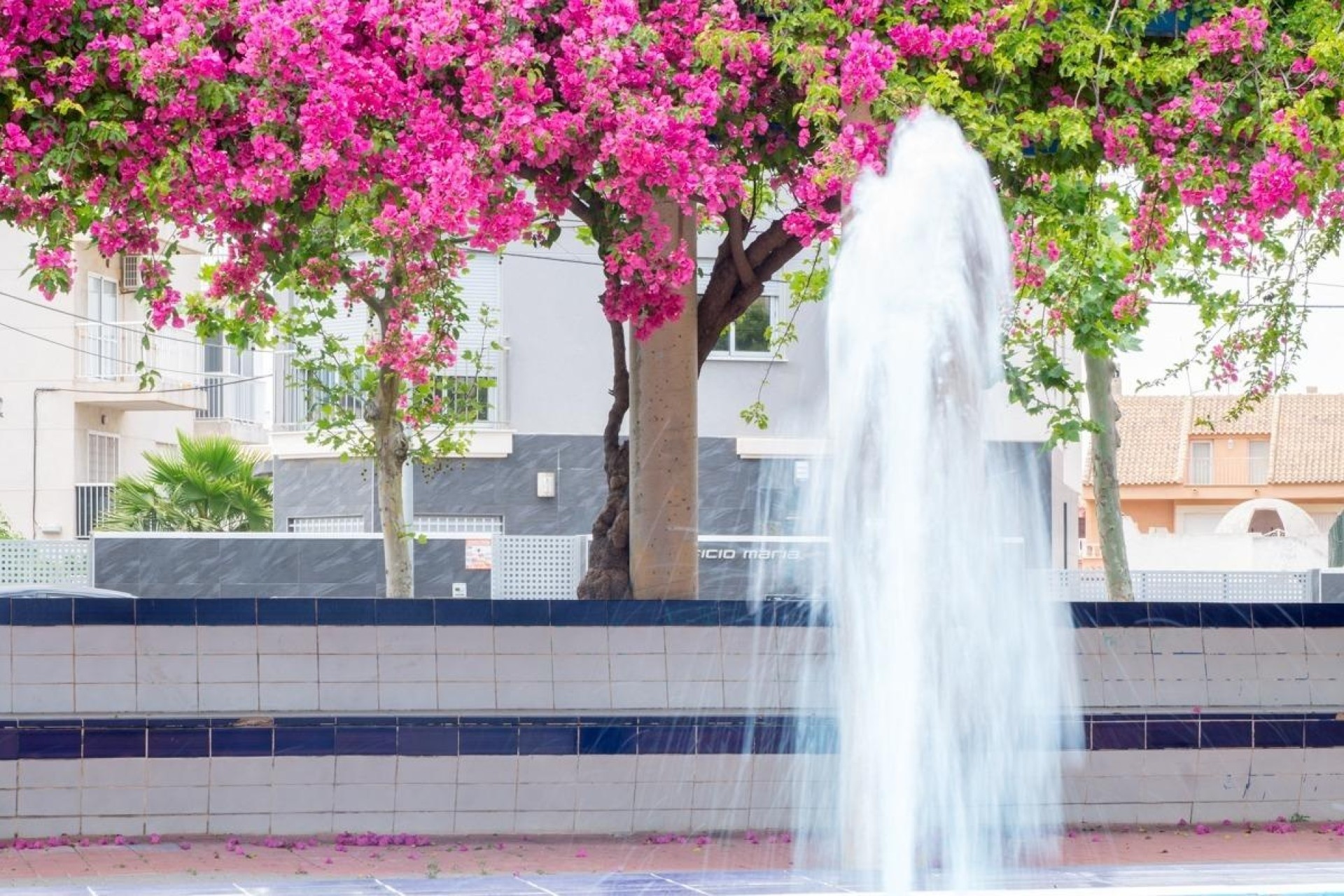 Herverkoop - Appartement / Flat -
Torrevieja - Estacion de autobuses