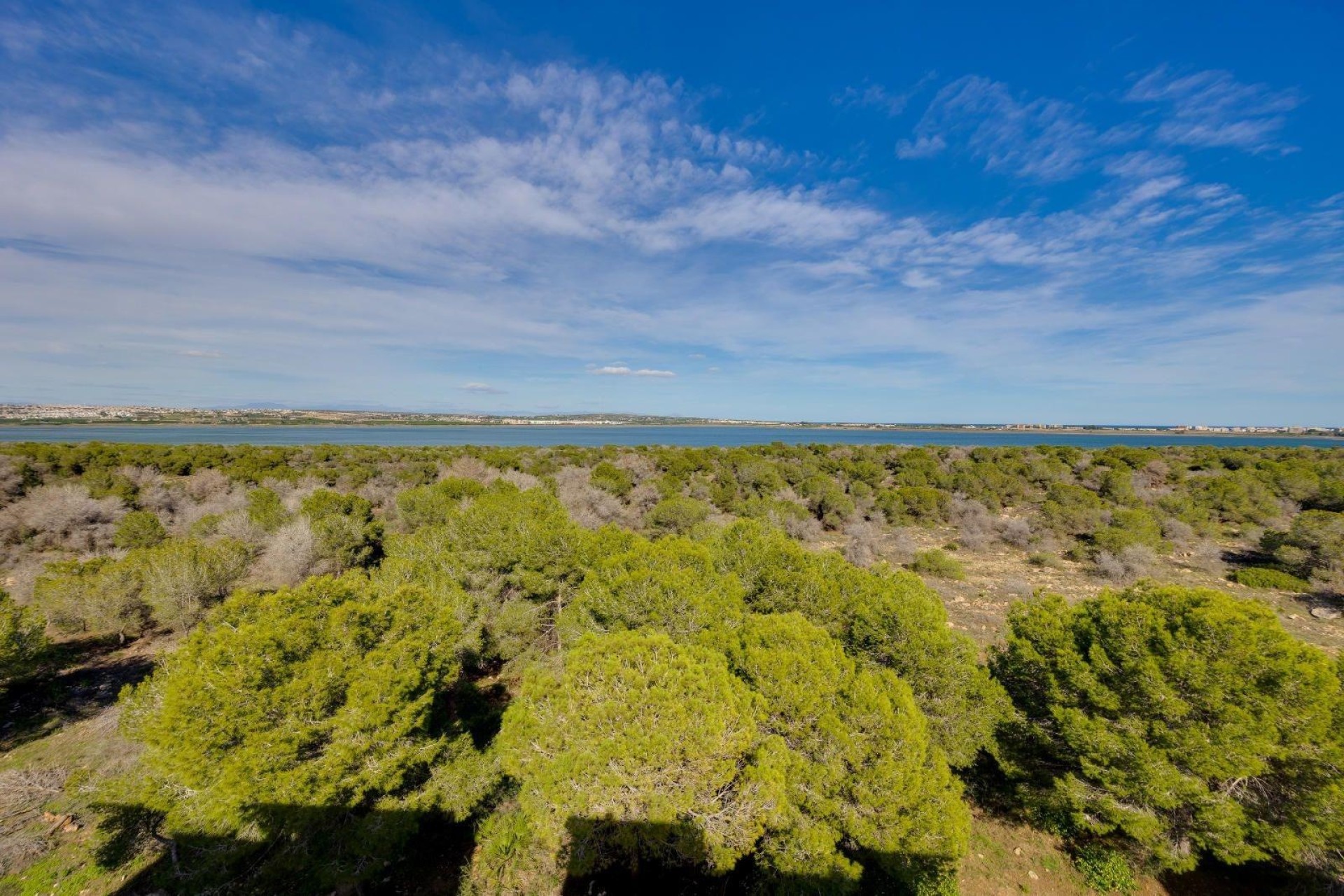 Herverkoop - Appartement / Flat -
Torrevieja - La Siesta - El Salado - Torreta