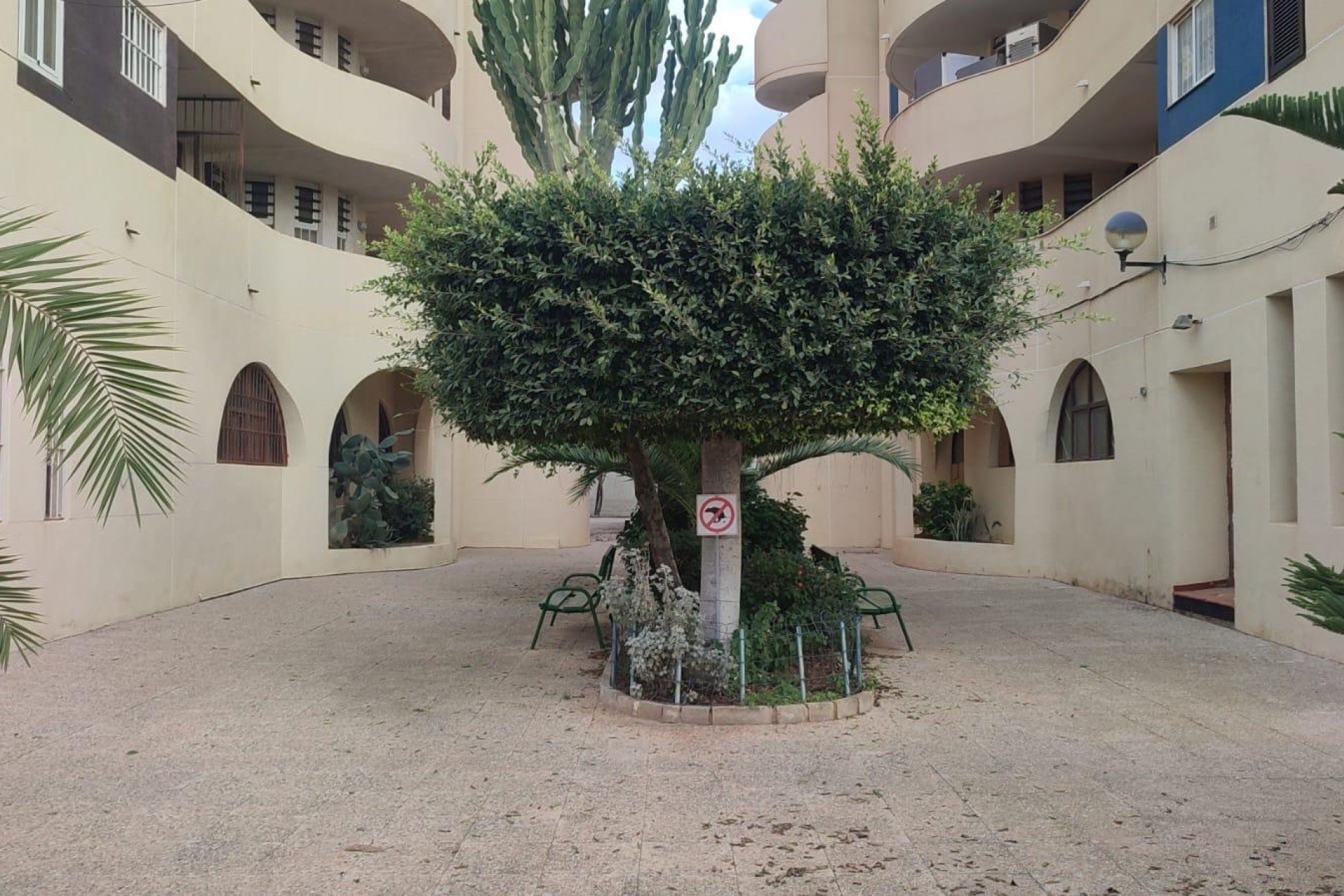 Herverkoop - Appartement / Flat -
Torrevieja - La veleta