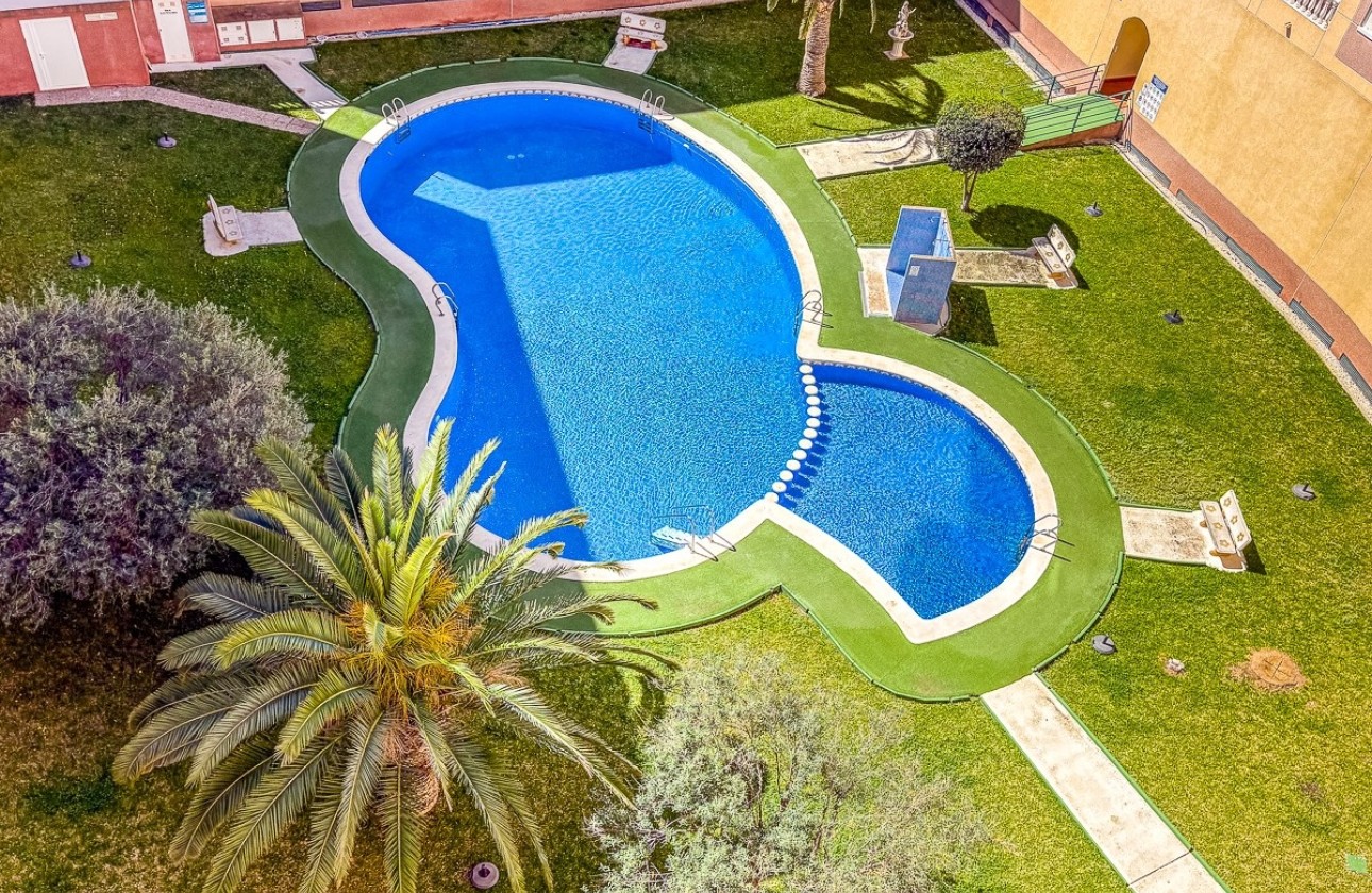 Herverkoop - Appartement / Flat -
Torrevieja - Parque de las Naciones