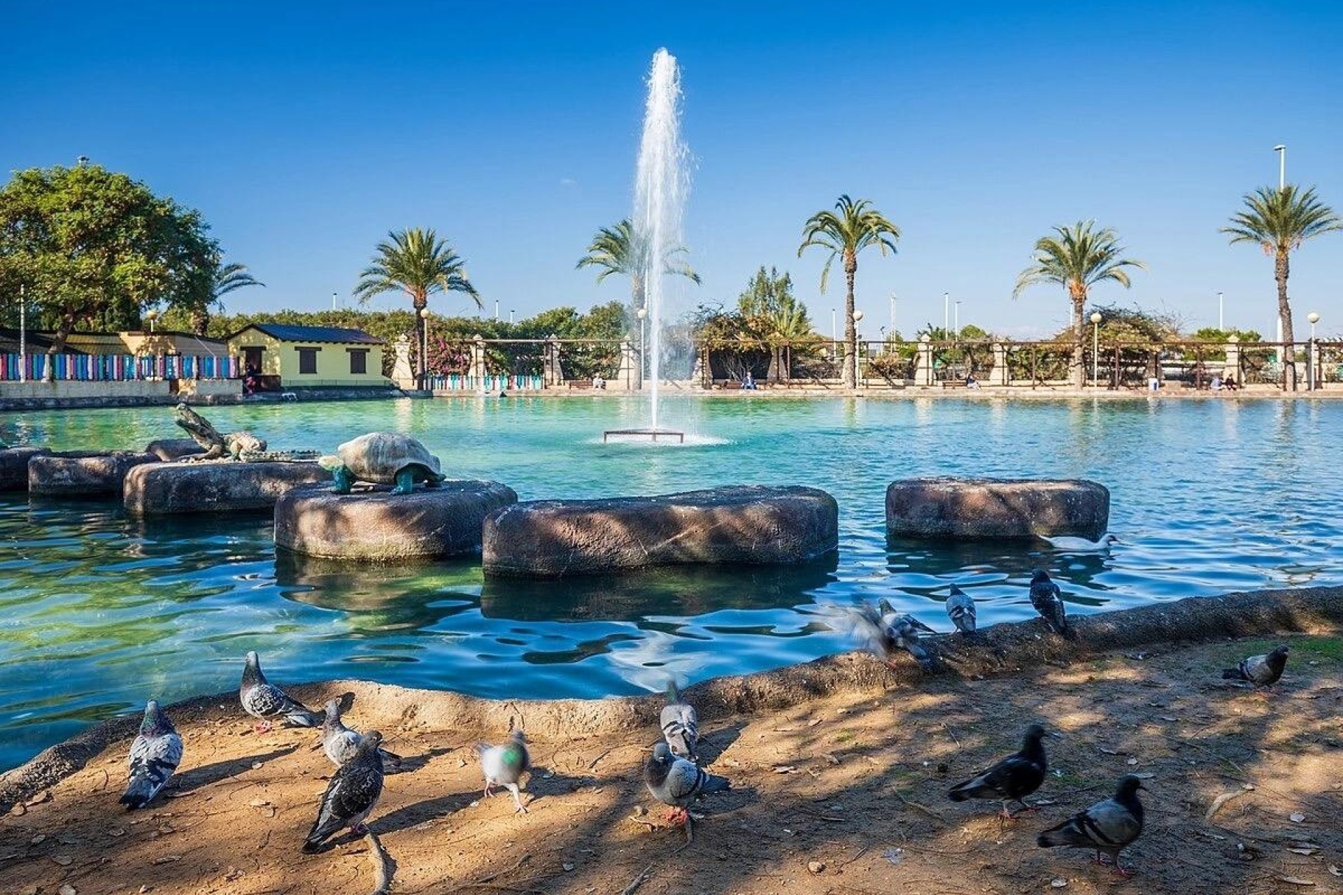 Herverkoop - Appartement / Flat -
Torrevieja - Parque las naciones